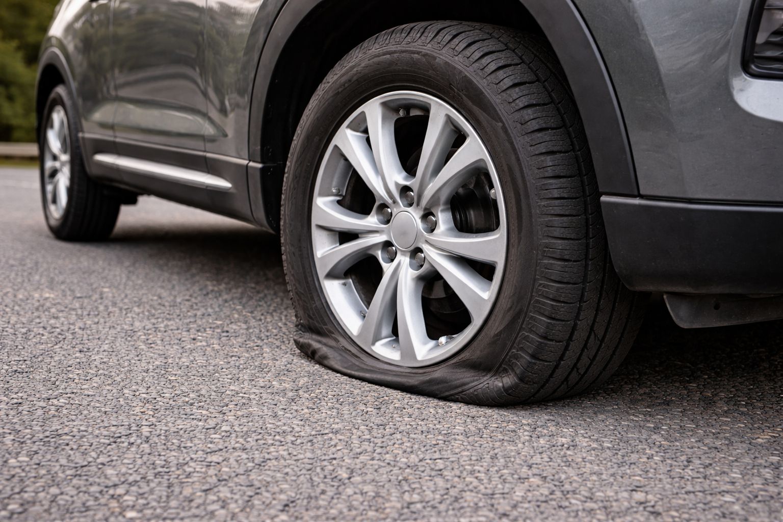 WhatsApp Image 2026-04-09 at 2.47.21 PM